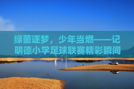 绿茵逐梦，少年当燃——记明德小学足球联赛精彩瞬间
