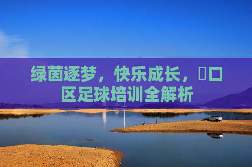 绿茵逐梦，快乐成长，硚口区足球培训全解析