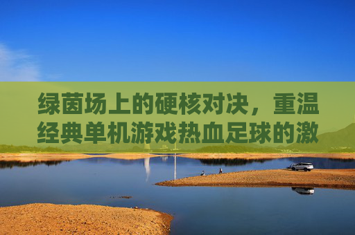 绿茵场上的硬核对决，重温经典单机游戏热血足球的激情岁月
