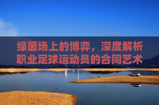 绿茵场上的博弈，深度解析职业足球运动员的合同艺术