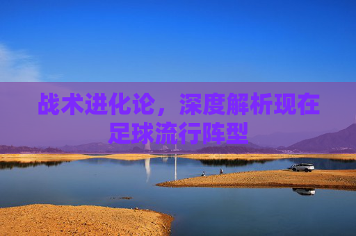 战术进化论,深度解析现在足球流行阵型