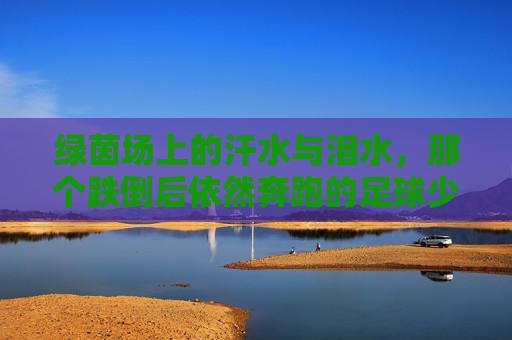 绿茵场上的汗水与泪水，那个跌倒后依然奔跑的足球少年