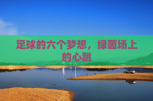 足球的六个梦想,绿茵场上的心跳
