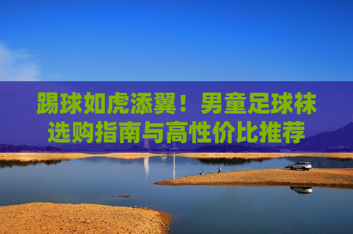 踢球如虎添翼！男童足球袜选购指南与高性价比推荐