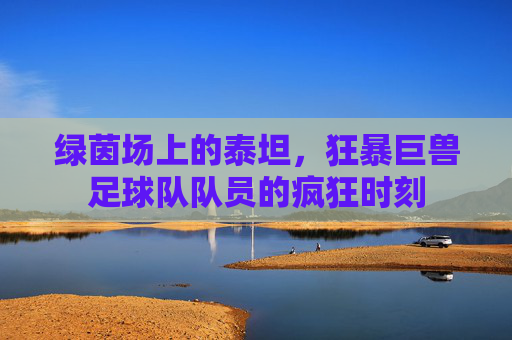 绿茵场上的泰坦,狂暴巨兽足球队队员的疯狂时刻
