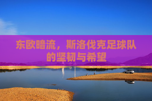 东欧暗流,斯洛伐克足球队的坚韧与希望