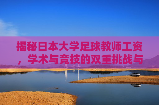 揭秘日本大学足球教师工资，学术与竞技的双重挑战与收入解析