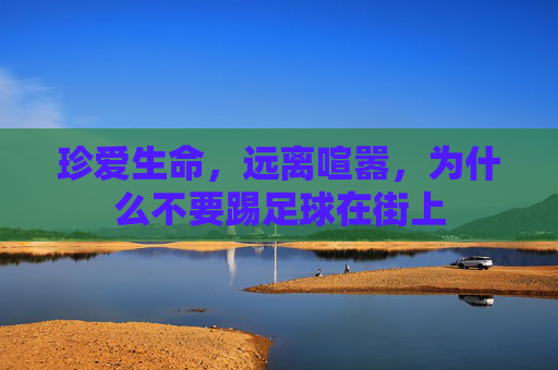 珍爱生命，远离喧嚣，为什么不要踢足球在街上