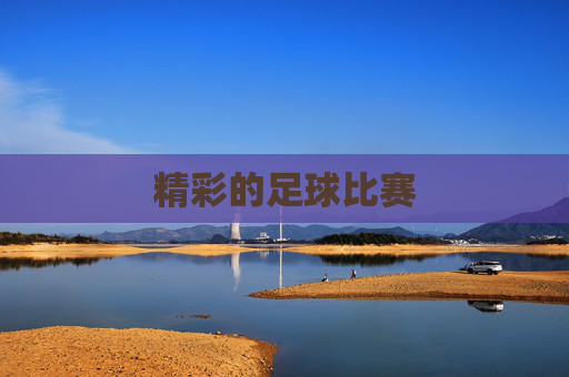 精彩的足球比赛