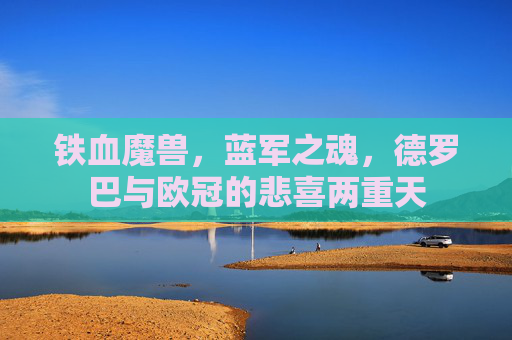 铁血魔兽，蓝军之魂，德罗巴与欧冠的悲喜两重天