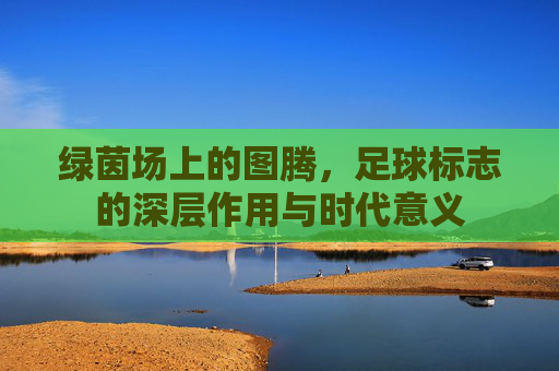 绿茵场上的图腾，足球标志的深层作用与时代意义