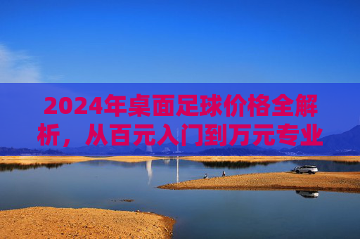 2024年桌面足球价格全解析，从百元入门到万元专业，到底多少钱？