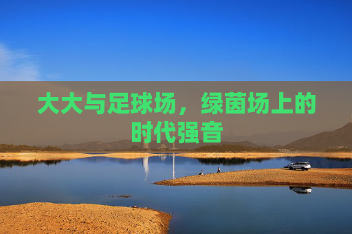 大大与足球场，绿茵场上的时代强音