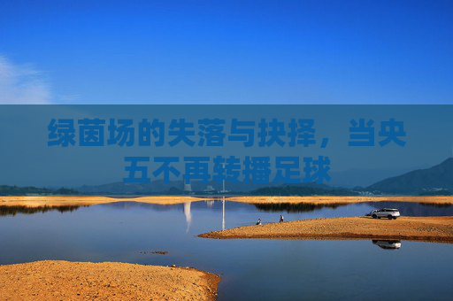 绿茵场的失落与抉择，当央五不再转播足球