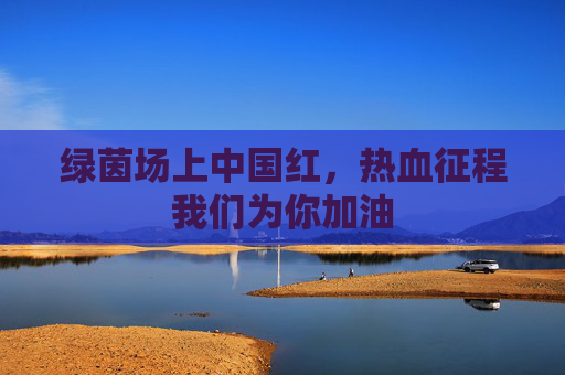 绿茵场上中国红，热血征程我们为你加油