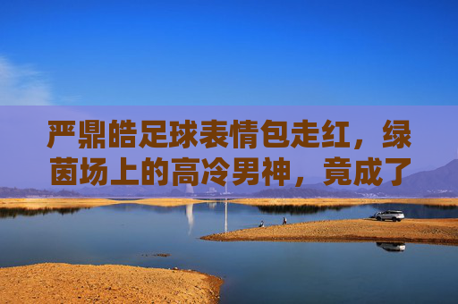 严鼎皓足球表情包走红，绿茵场上的高冷男神，竟成了互联网顶流？