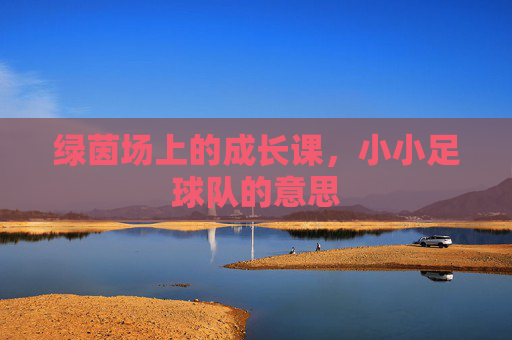 绿茵场上的成长课，小小足球队的意思