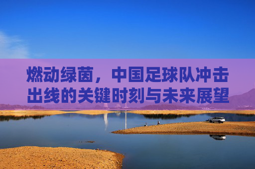燃动绿茵，中国足球队冲击出线的关键时刻与未来展望