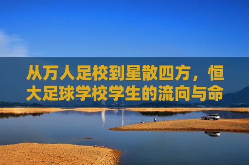 从万人足校到星散四方,恒大足球学校学生的流向与命运