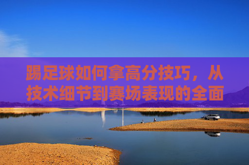踢足球如何拿高分技巧,从技术细节到赛场表现的全面攻略