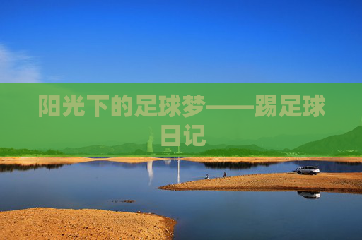 阳光下的足球梦——踢足球日记
