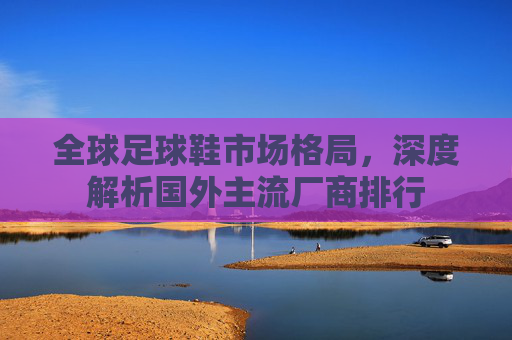 全球足球鞋市场格局,深度解析国外主流厂商排行