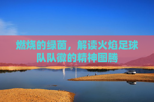 燃烧的绿茵，解读火焰足球队队徽的精神图腾