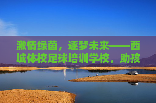 激情绿茵，逐梦未来——西城体校足球培训学校，助孩子赢在起跑线