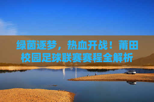 绿茵逐梦,热血开战!莆田校园足球联赛赛程全解析