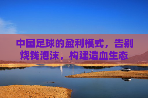 中国足球的盈利模式，告别烧钱泡沫，构建造血生态