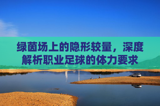 绿茵场上的隐形较量，深度解析职业足球的体力要求
