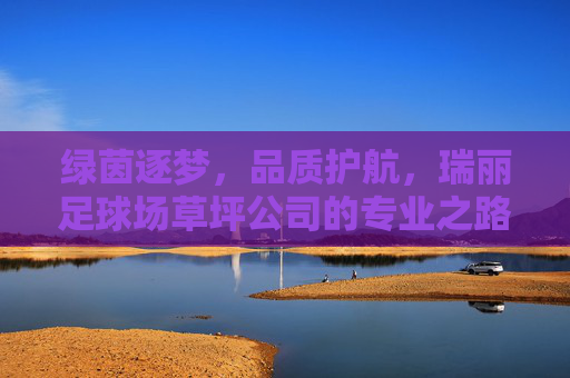 绿茵逐梦，品质护航，瑞丽足球场草坪公司的专业之路