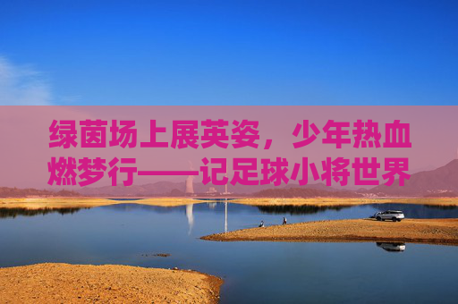 绿茵场上展英姿，少年热血燃梦行——记足球小将世界杯学生版激情开赛