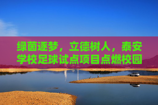 绿茵逐梦,立德树人,泰安学校足球试点项目点燃校园新活力