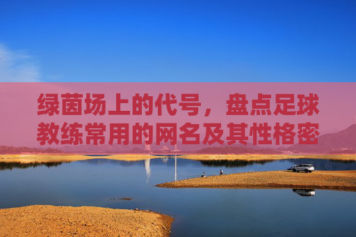 绿茵场上的代号,盘点足球教练常用的网名及其性格密码
