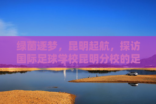 绿茵逐梦,昆明起航,探访国际足球学校昆明分校的足球摇篮