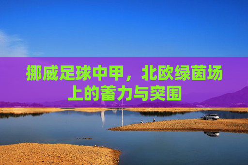 挪威足球中甲,北欧绿茵场上的蓄力与突围