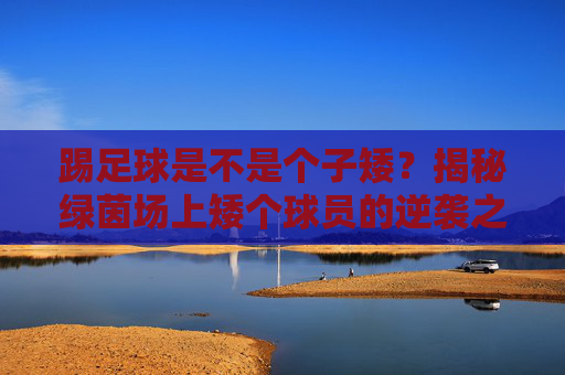 踢足球是不是个子矮?揭秘绿茵场上矮个球员的逆袭之路