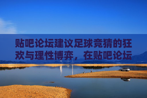 贴吧论坛建议足球竞猜的狂欢与理性博弈,在贴吧论坛里如何玩转数据分析?