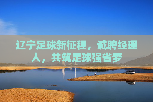 辽宁足球新征程,诚聘经理人,共筑足球强省梦