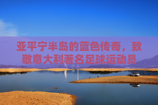亚平宁半岛的蓝色传奇，致敬意大利著名足球运动员