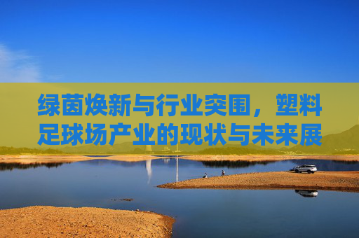 绿茵焕新与行业突围,塑料足球场产业的现状与未来展望