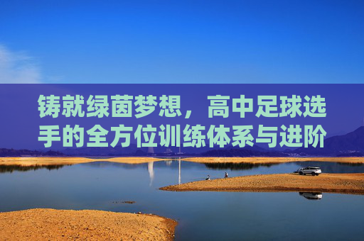 铸就绿茵梦想,高中足球选手的全方位训练体系与进阶指南