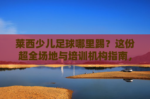 莱西少儿足球哪里踢？这份超全场地与培训机构指南，建议收藏！
