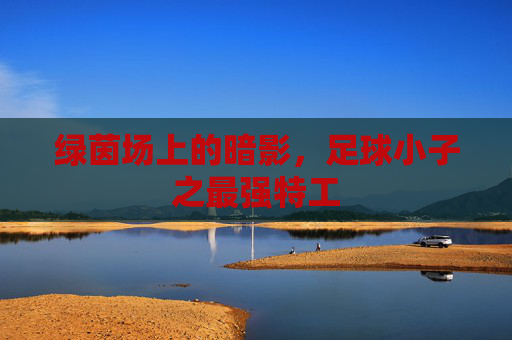 绿茵场上的暗影，足球小子之最强特工