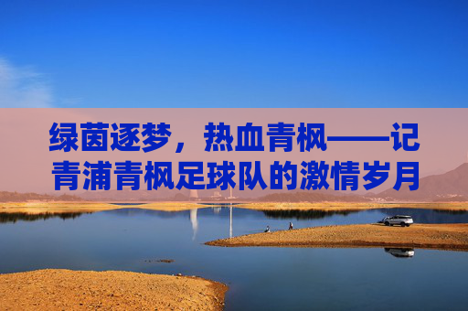绿茵逐梦，热血青枫——记青浦青枫足球队的激情岁月