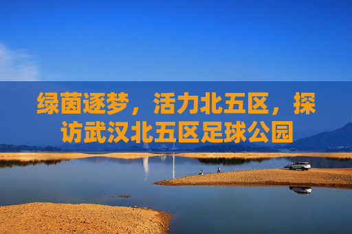 绿茵逐梦,活力北五区,探访武汉北五区足球公园