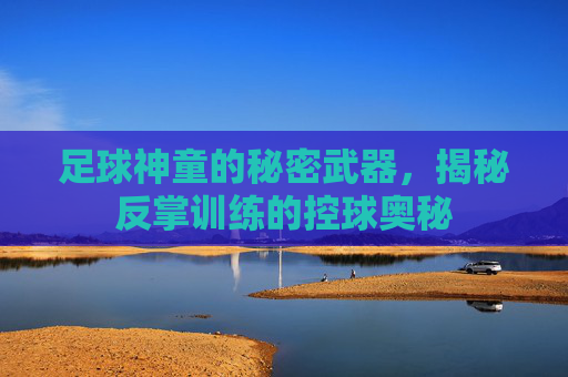 足球神童的秘密武器,揭秘反掌训练的控球奥秘