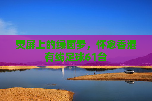 荧屏上的绿茵梦,怀念香港有线足球61台