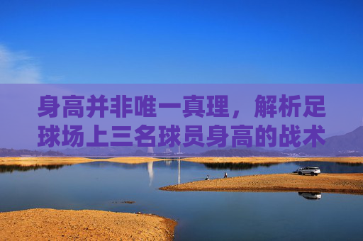 身高并非唯一真理,解析足球场上三名球员身高的战术博弈